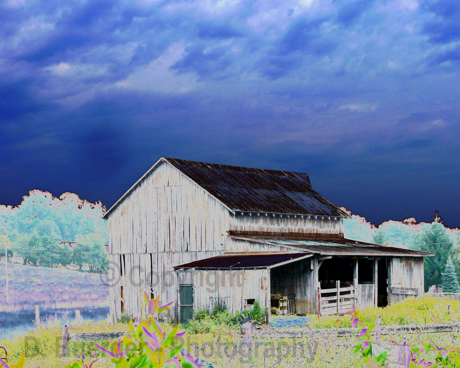 Barnstorm