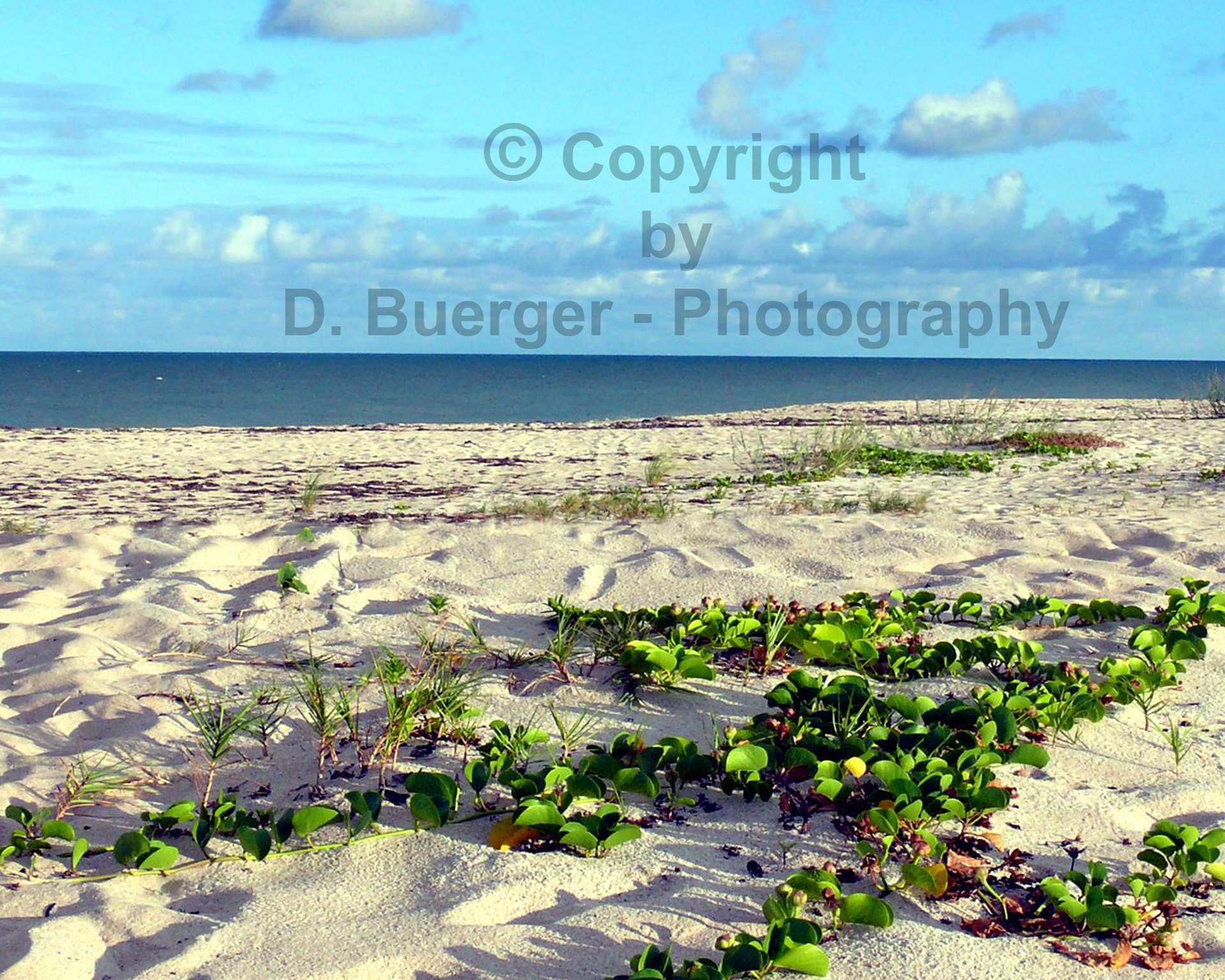 Beach Prints