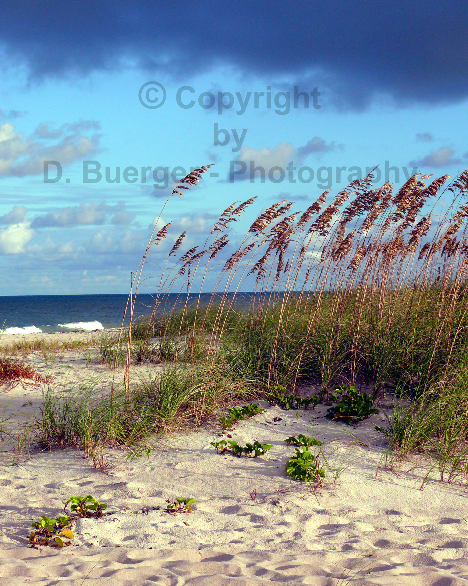 Beach Thoughts