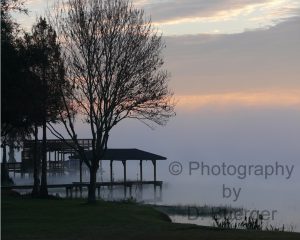 Fog