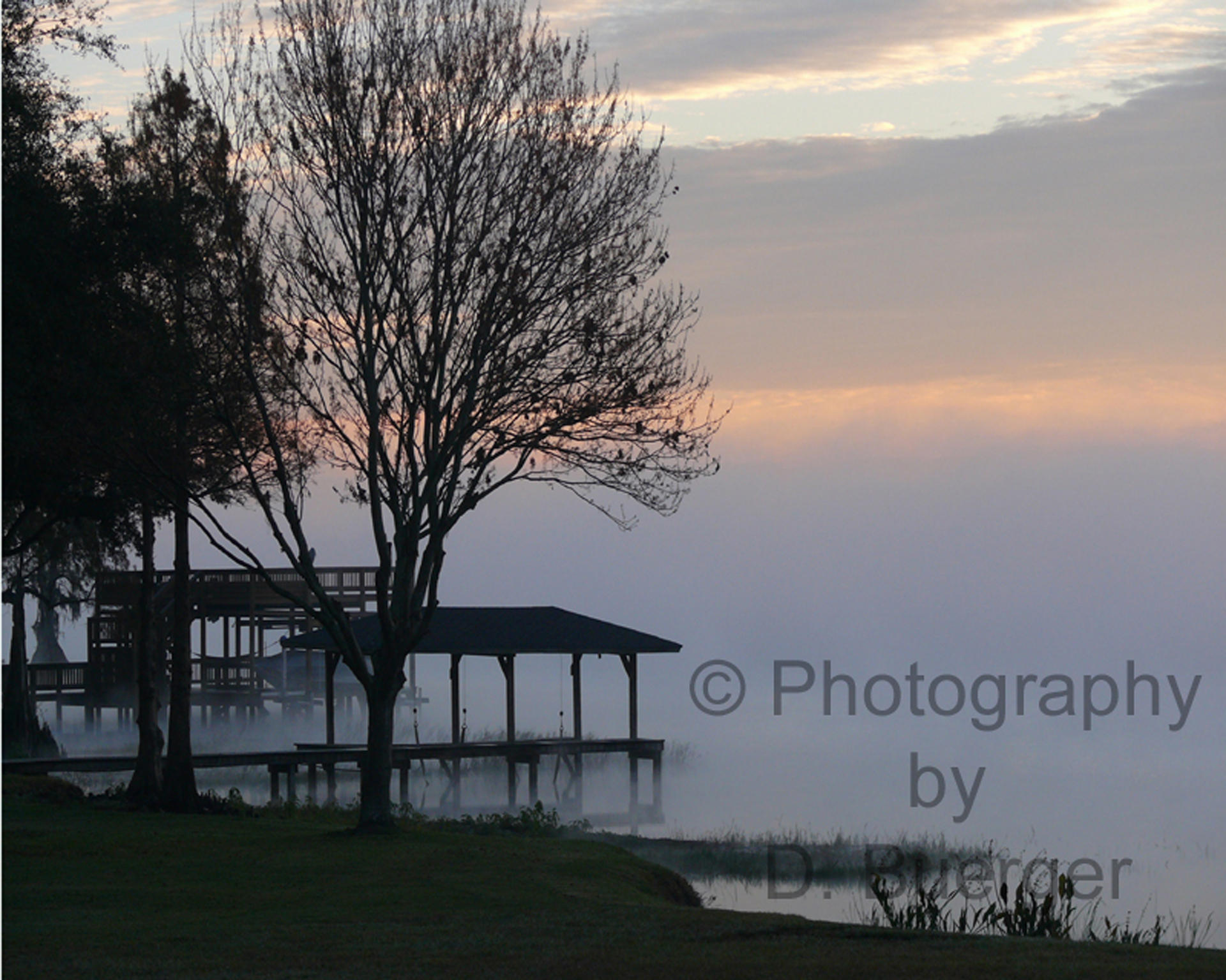Fog