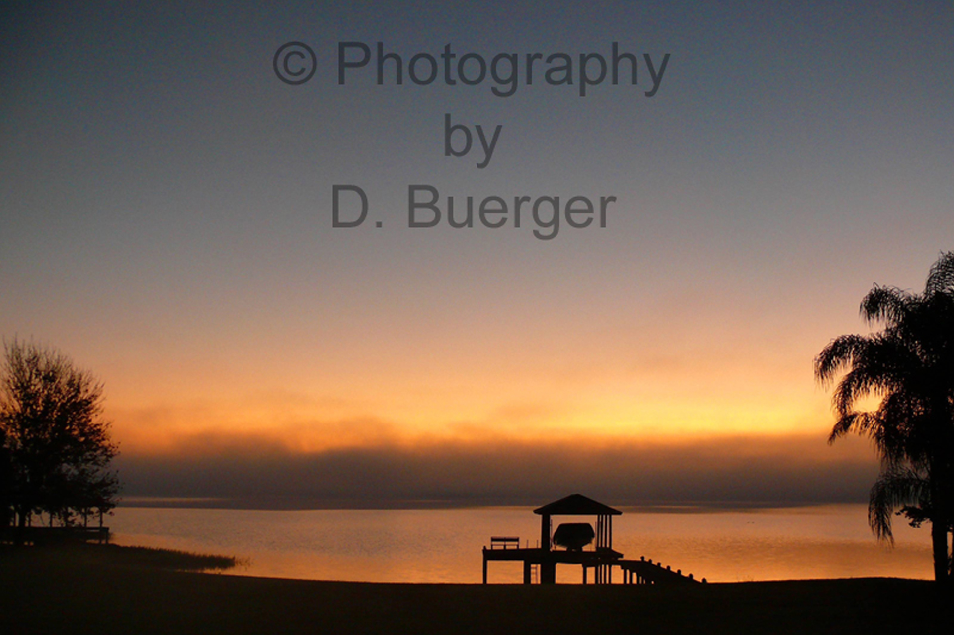 Golden Fog