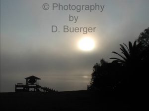 Gray Mist