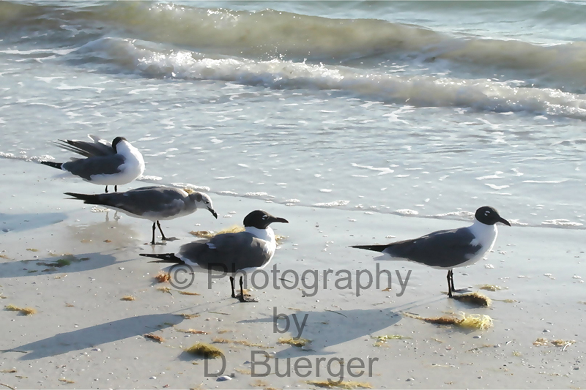 Wait -- I've Got an Itch!