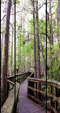 Walkway