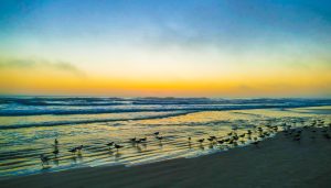 Beach Get-together - B - 24 x 42