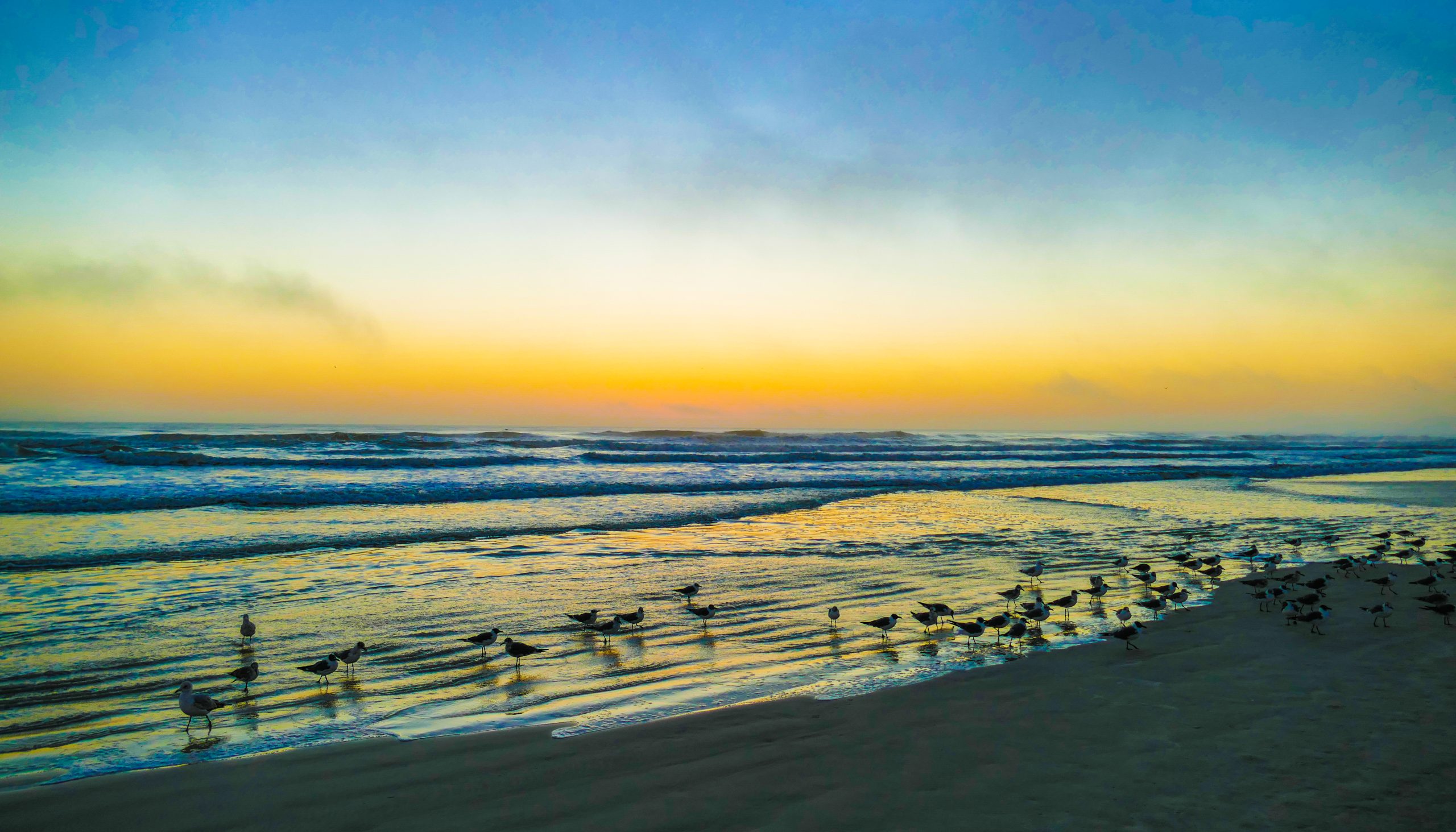 Beach Get-together - B - 24 x 42